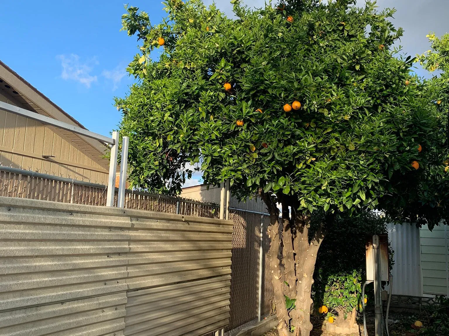 2 bed, 1080 sqft, $1,550 — Photo 4