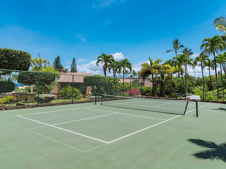 Wailea Alanui Dr — Photo 43
