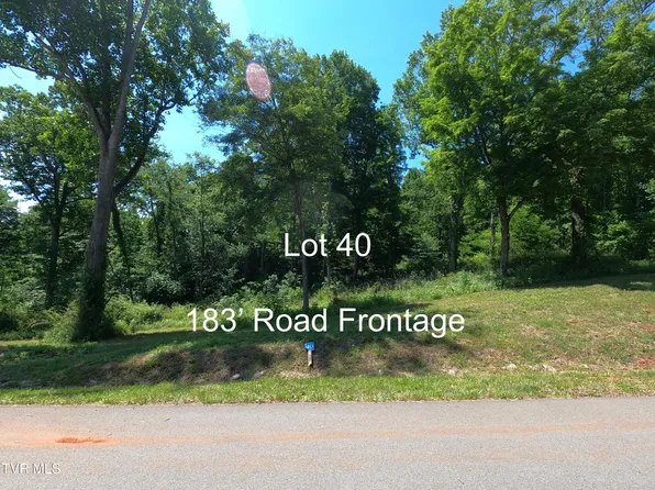 40 Cowan Town Rd, Butler, TN 37640