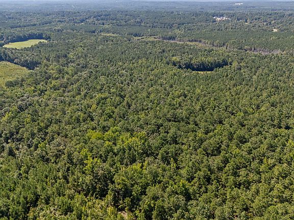 5th image of 1D Ponderosa Rd Lot 1D