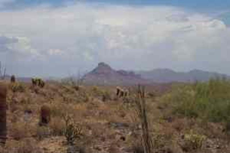 1st image of 9439 N Solitude Cyn