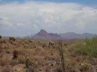 9439 N Solitude Cyn, Fountain Hills, AZ 85268
