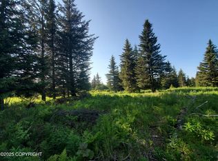17435 Chefornak St, Ninilchik, AK 99639