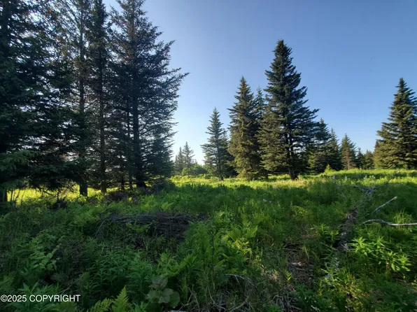 17435 Chefornak St, Ninilchik, AK 99639