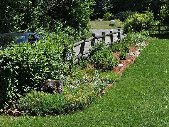 Fence garden in early spring