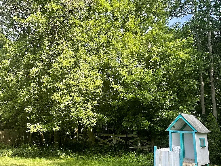 6330 Odessa Dr — Photo 27