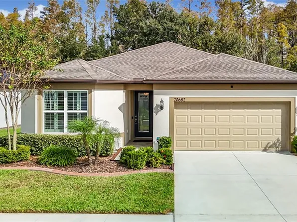20682 MONZA LOOP, LAND O LAKES, FL 34638