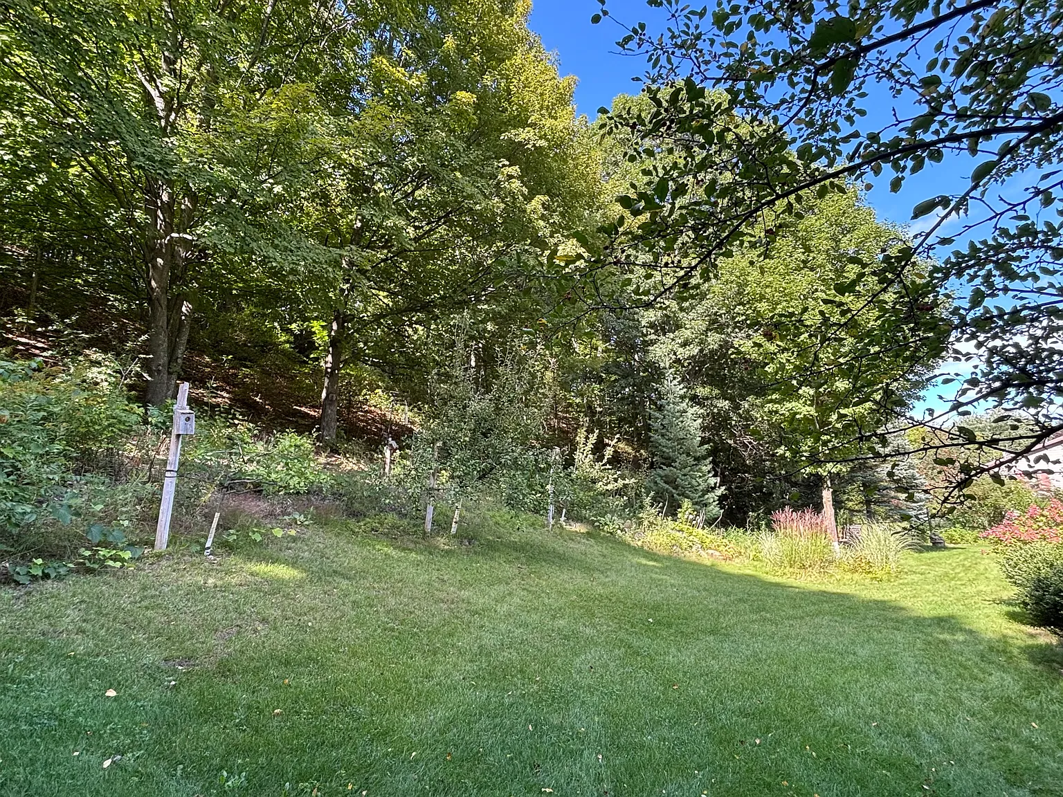 E Hoxie Rd, Cedar — Photo 4