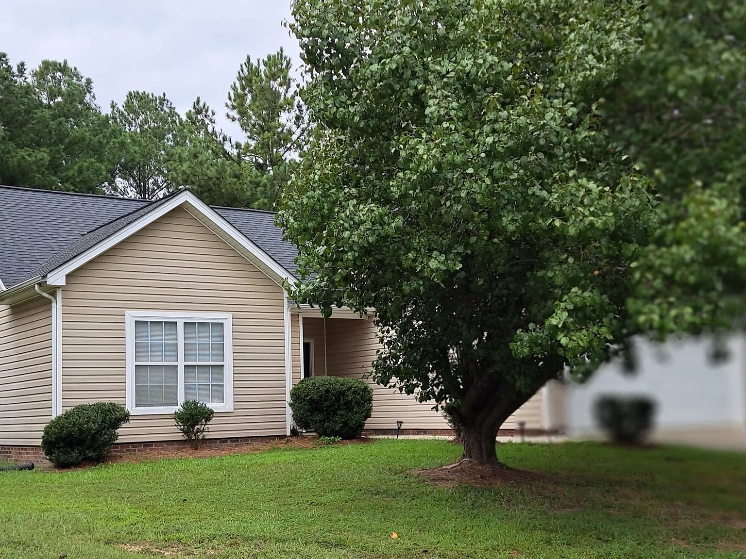 4 bed, 1517 sqft, $1,950 — Photo 3