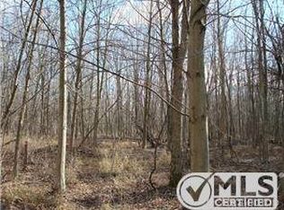 910 Wheeling Rd, Imlay City, MI 48444