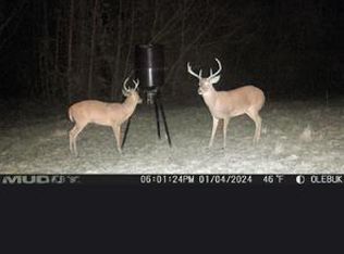 35AC N County Road 67, Clopton, AL 36317