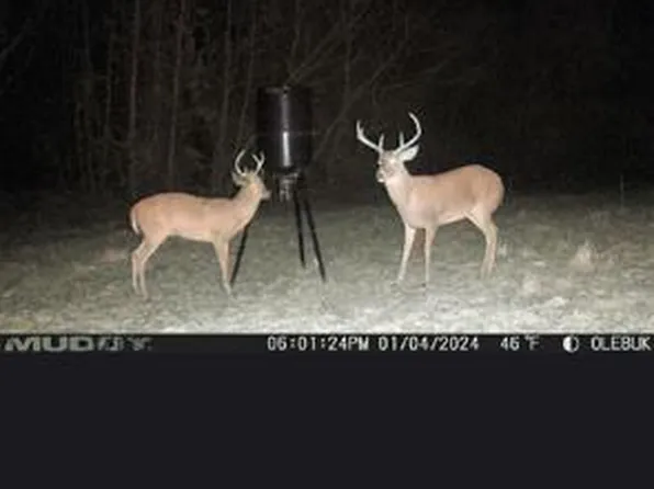 35AC N County Road 67, Clopton, AL 36317