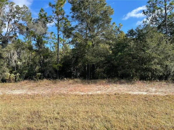 LOT 44 SW 102nd Street Rd, Dunnellon, FL 34431