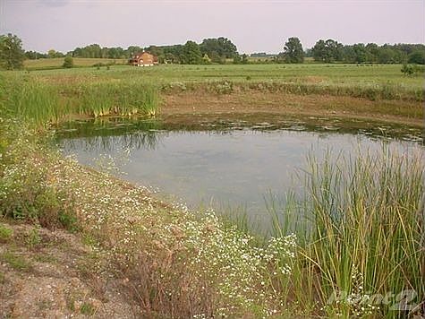 4210 LOCK RD AFTER MOWED PICS 007