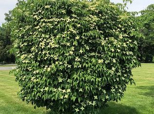 22 Center Meeting Rd, Wilmington, DE 19807