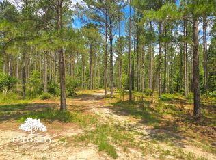 0 Alexander Munnerlyn Rd, Waynesboro, GA 30830