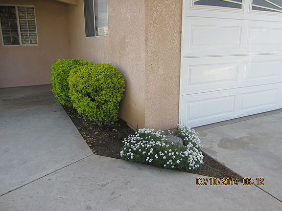 Attractive Landscaping
