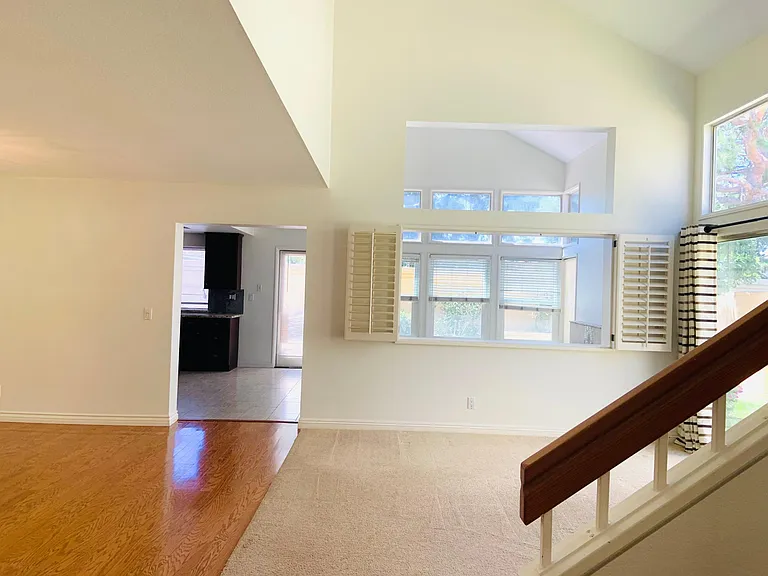 19 Belcanto — Photo 5