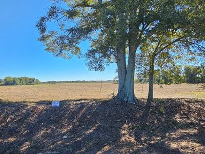 County Road 92 LOT 6, Slocomb, AL, 36375