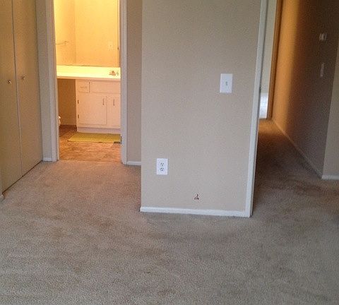 5th image of 31020 Floralview Dr S APT 108