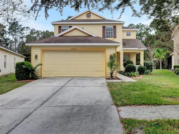 20139 Bay Cedar Ave, Tampa, FL 33647