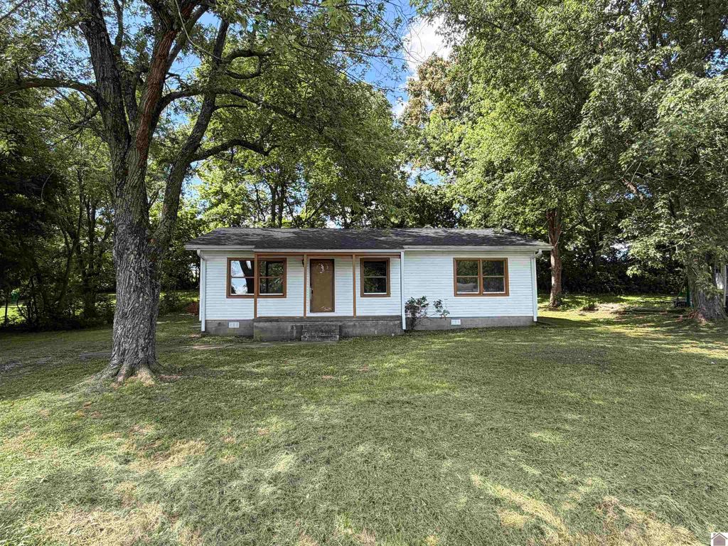 203 Prince Ct, Princeton, KY - View 2
