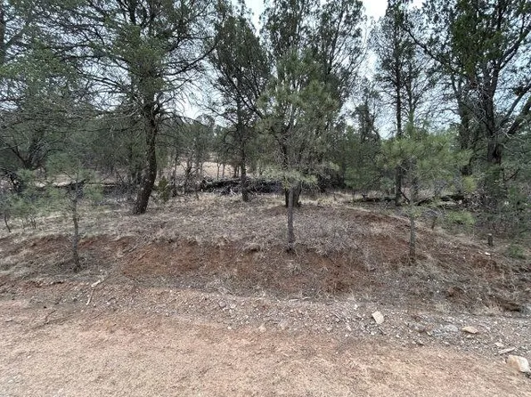 150 Shallow Creek Rd #1, Timberon, NM 88350