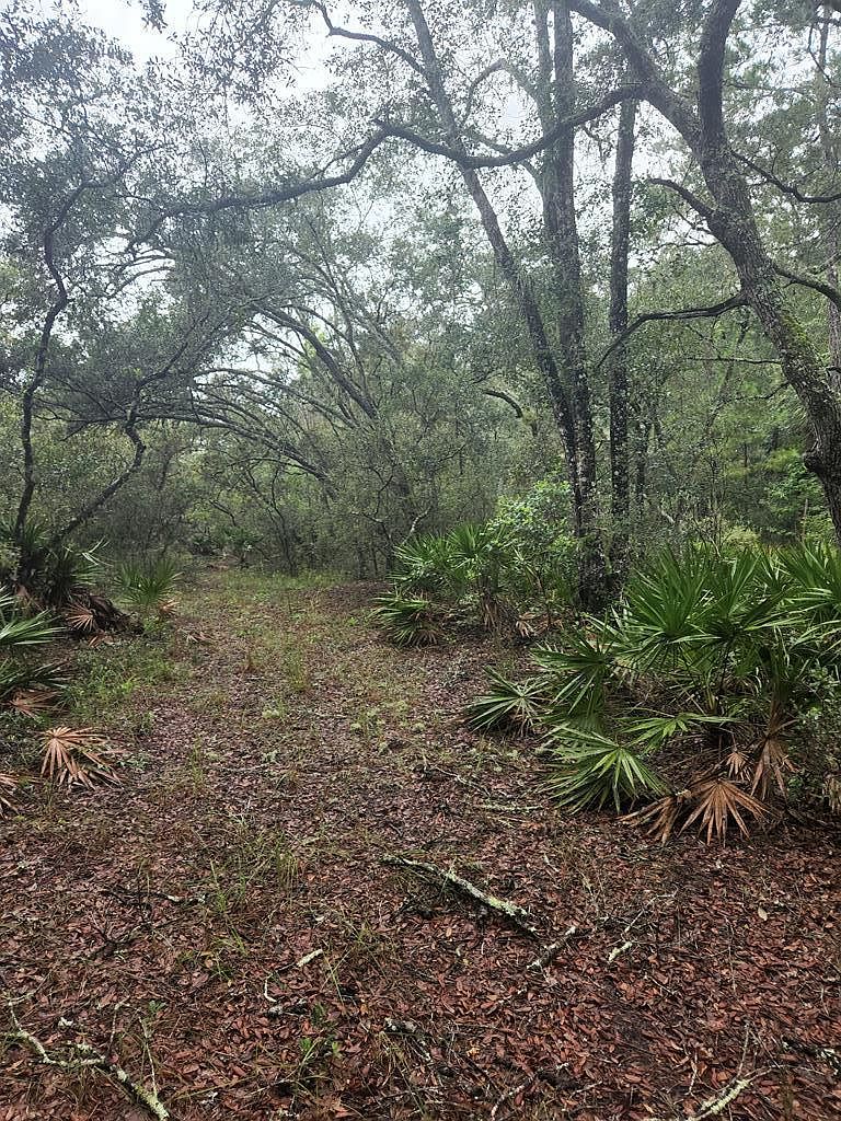 000 NW 140th Ave, Chiefland, FL 32626 Zillow