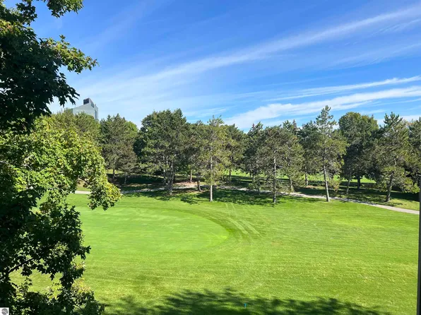 5522 Golfview Ct, Williamsburg, MI 49690