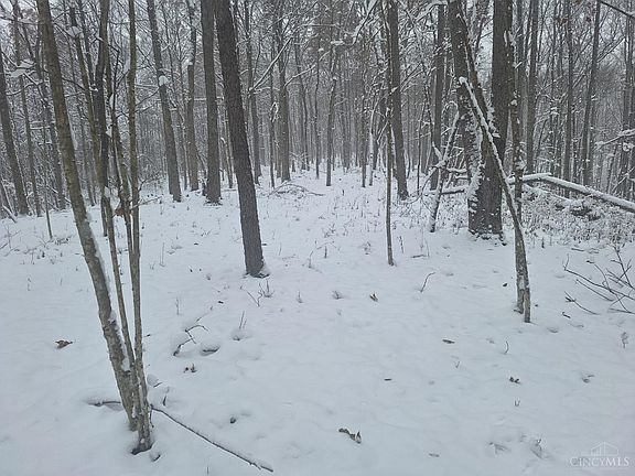 4th image of 234 Dry Bone Rd