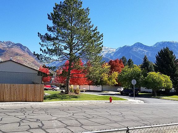 Nice fall colors 