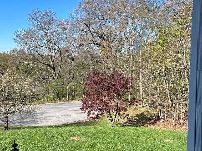 56 Hemlock Dr — Photo 15