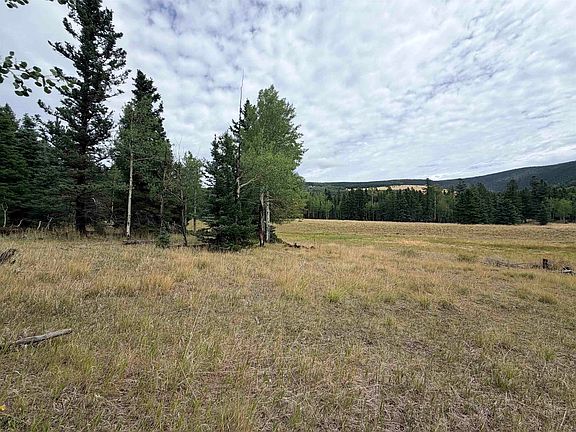 4th image of Lot 192 Meadow Glenn