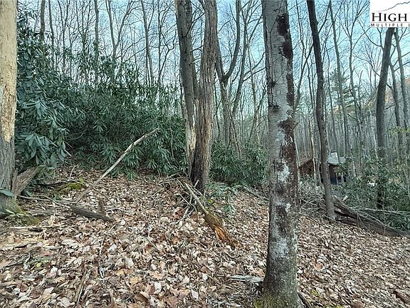 4th image of TBD Lot 61 Wildcat Wilderness Parkway