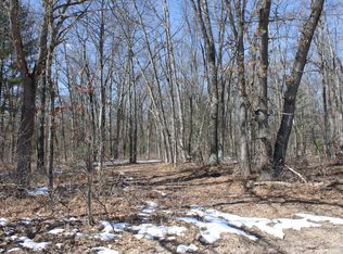 3658 Swihart Rd, Brethren, MI 49619