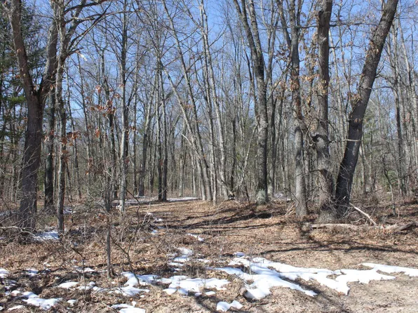 3658 Swihart Rd, Brethren, MI 49619