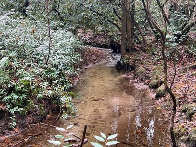 Lot 48 White Dogwood Court, Sapphire, NC, 28774