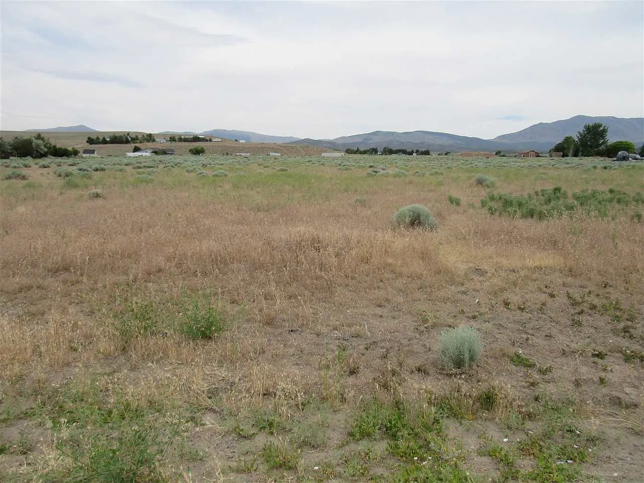 1675 Windmill Rd photo 1