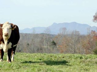 480 Tom Camp Rd, Rutherfordton, NC 28139