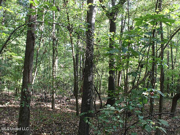 3rd image of 10 Star Landing Rd
