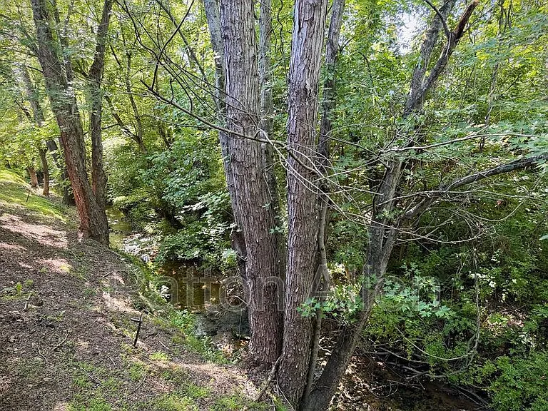 15 Lees Creek Rd #J — Photo 13