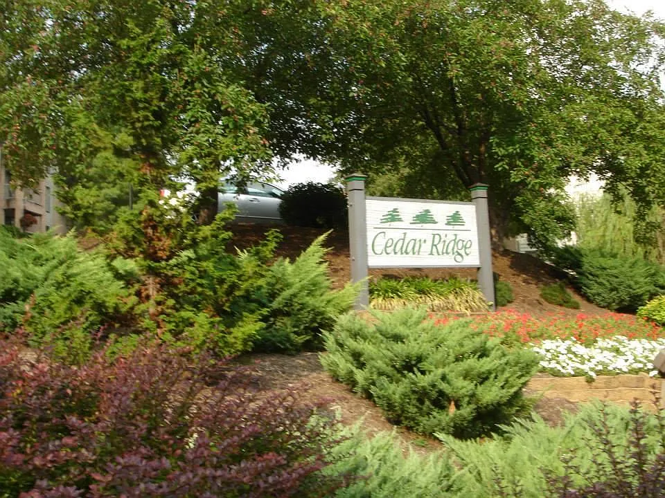 2 bed, 1.5 bath, 920 sqft, $1,250 — Photo 3