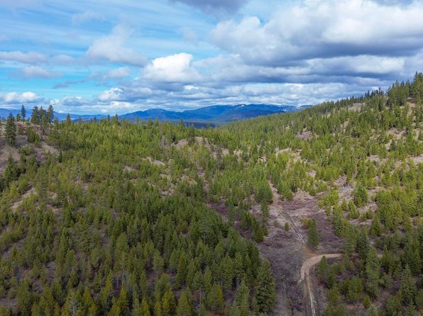 352X Greene Rd, Valley, WA 99181