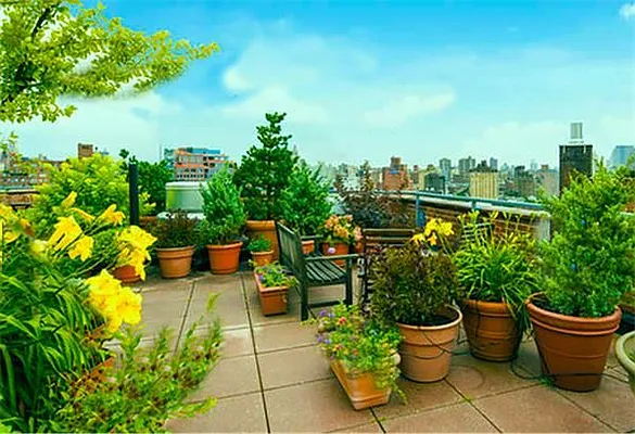 Sold by (Legacy) Elegran | media 14