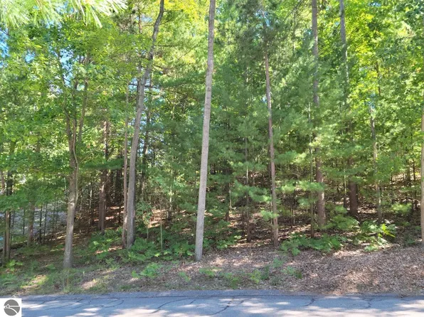 4478 Ground Pine Trl, Traverse City, MI 49686