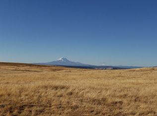 969 Finn Ridge Rd, Centerville, WA 98613