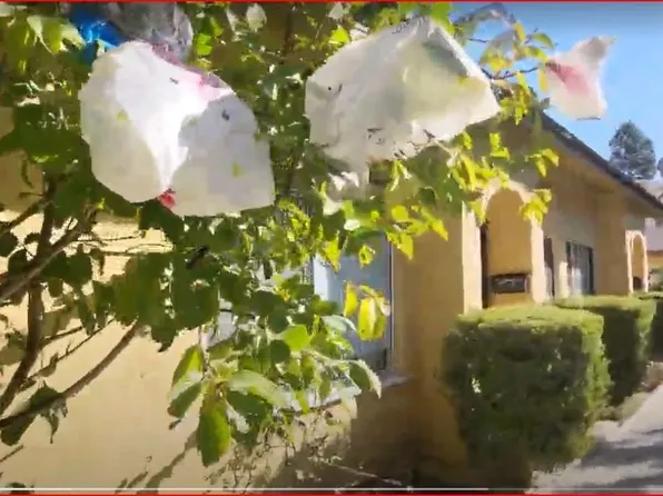 1240 S Muirfield Rd, Los Angeles, CA 90019