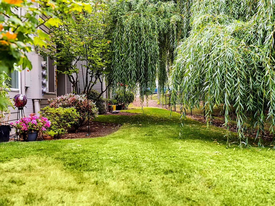 Cedar Grove Apartments