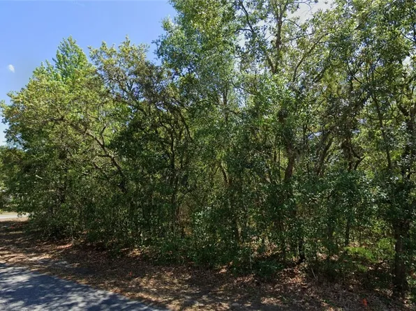 2 Shumard Ct S, Homosassa, FL 34446