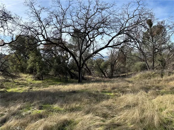 0 Daffodil Dr, Mariposa, CA 95338